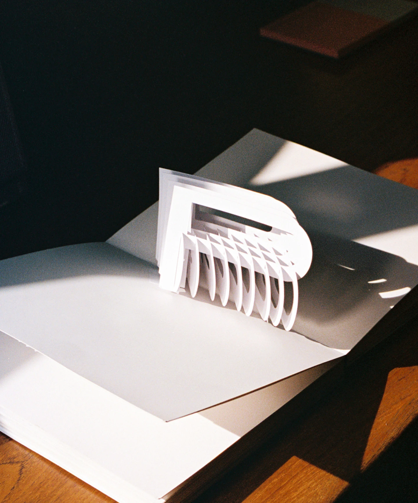 3-D pop up design by paper engineer and designer Kelli Anderson for her book “Alphabet in Motion”.