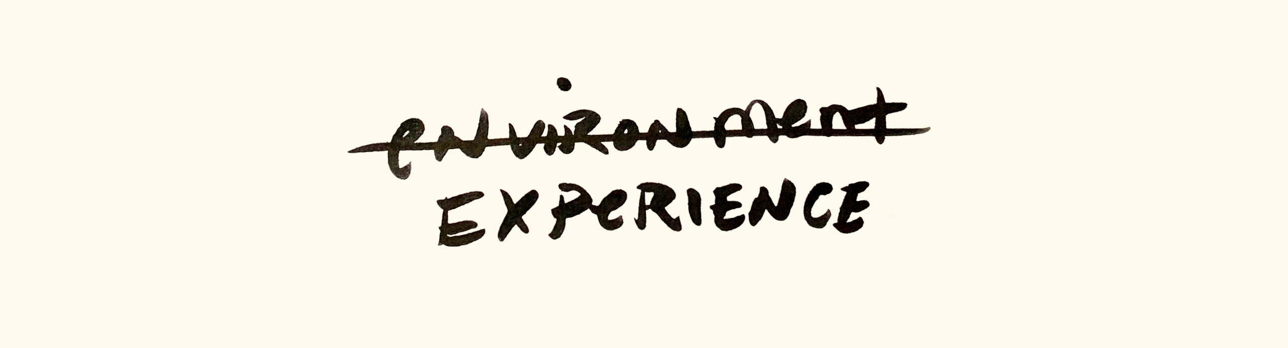 Hand lettering by Kelli Anderson with the word “environment” crossed out and the word “experience” below it.