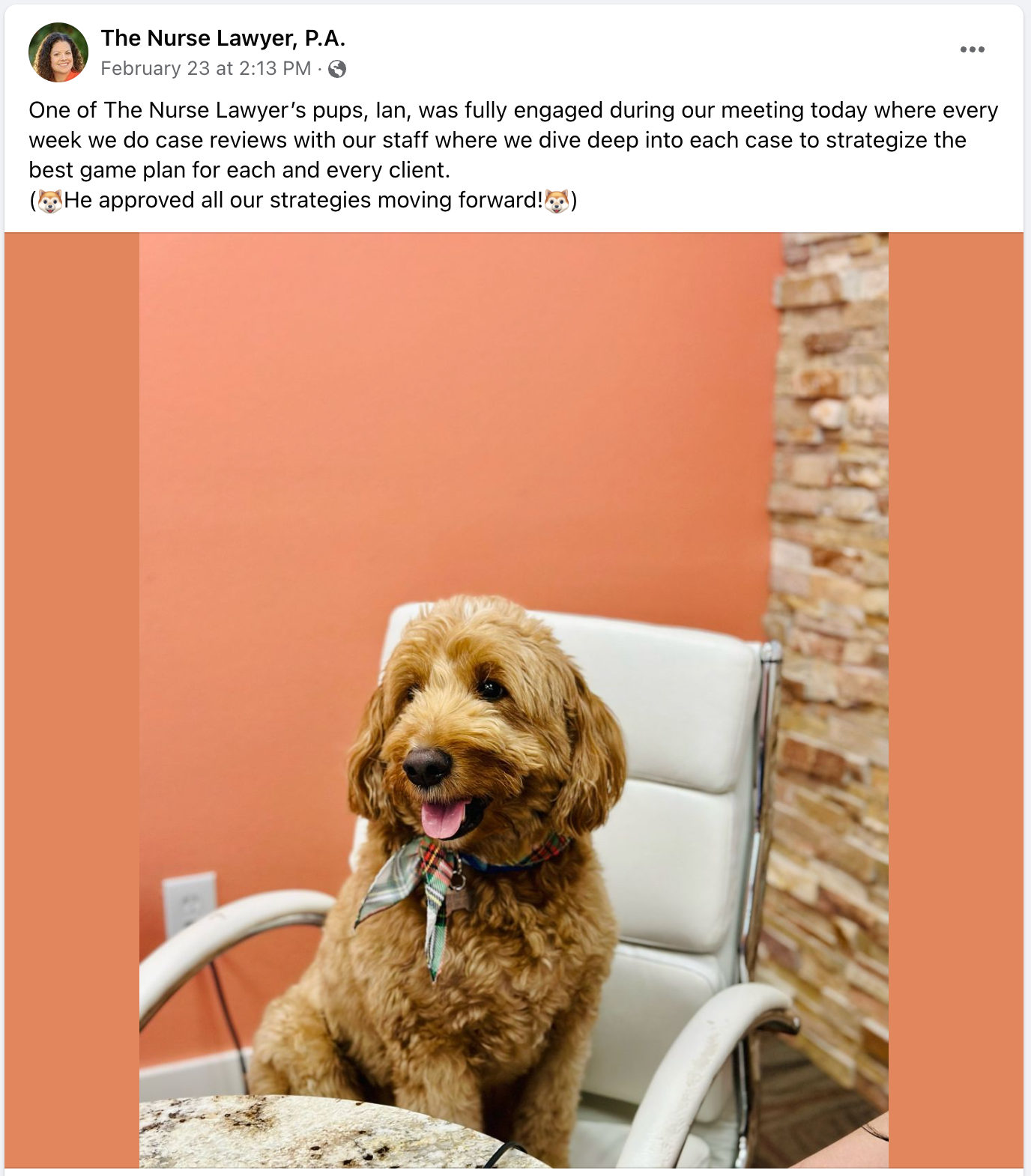 Image Nurse Lawyer’s Pup Fully Engaged During Staff Meeting