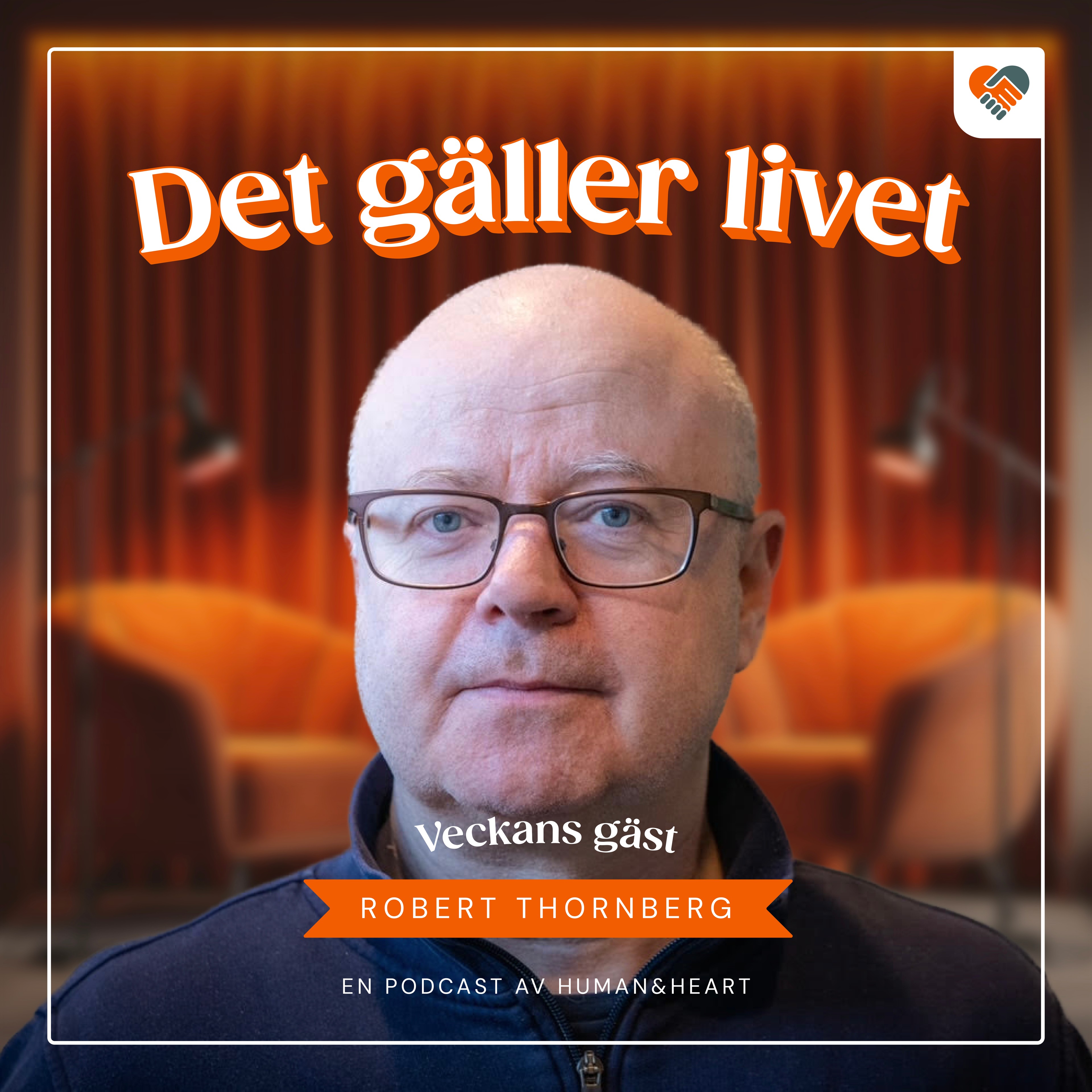 Mobbningen i skolan ökar men så här kan problemen bekämpas enligt forskningen