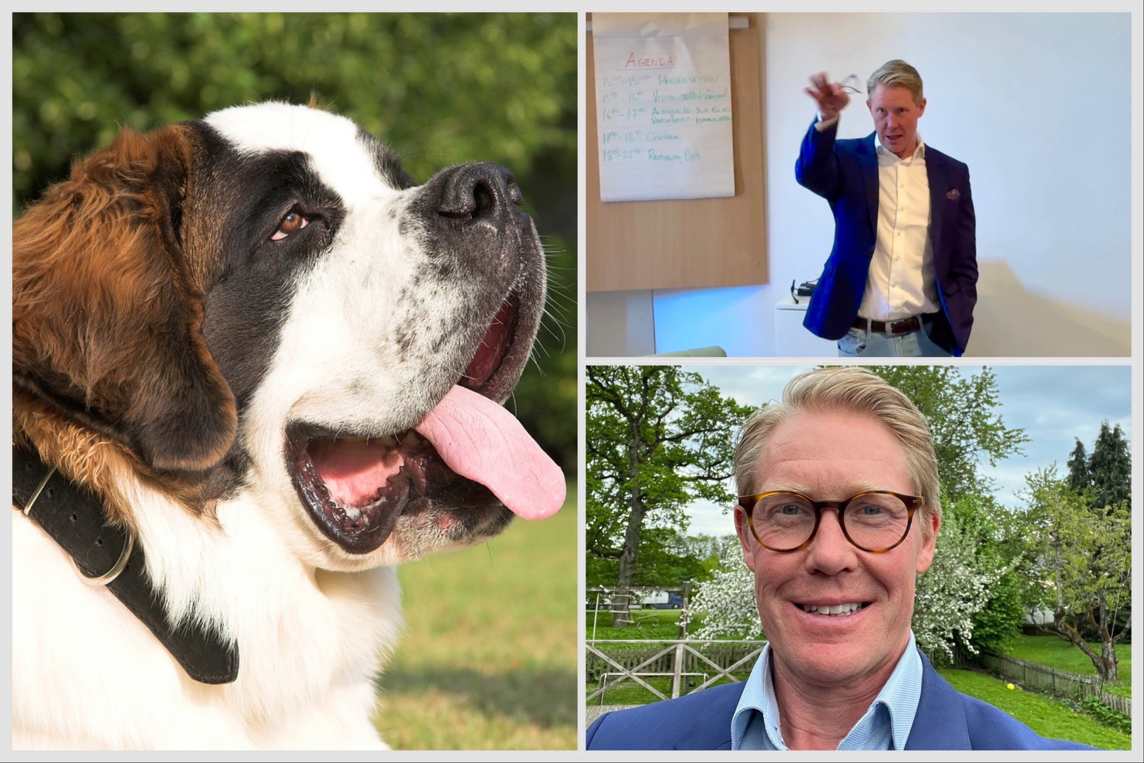 ”Därför jämför jag mig med en sankt bernhardshund” – Human&Hearts vice vd inspirerade om ett hjärtligt ledarskap