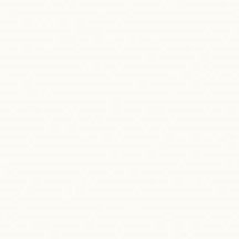 NL Arctic White Satin