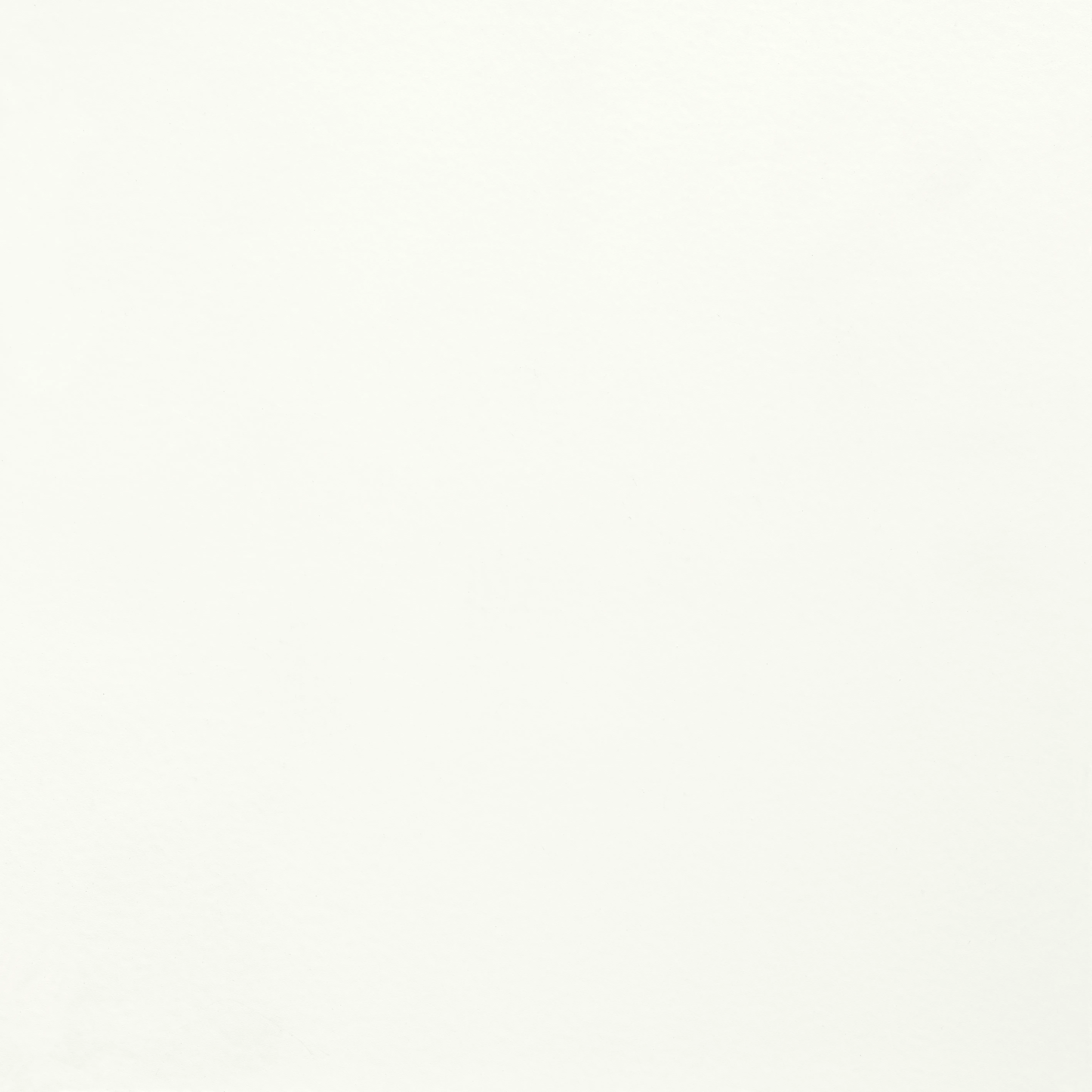 Weiß (Jeder RAL-Farbton ist realisierbar)