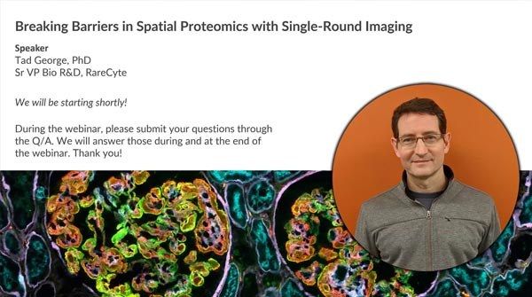 Breaking Barriers in Spatial Proteomics with Single-Round Imaging — Webinar