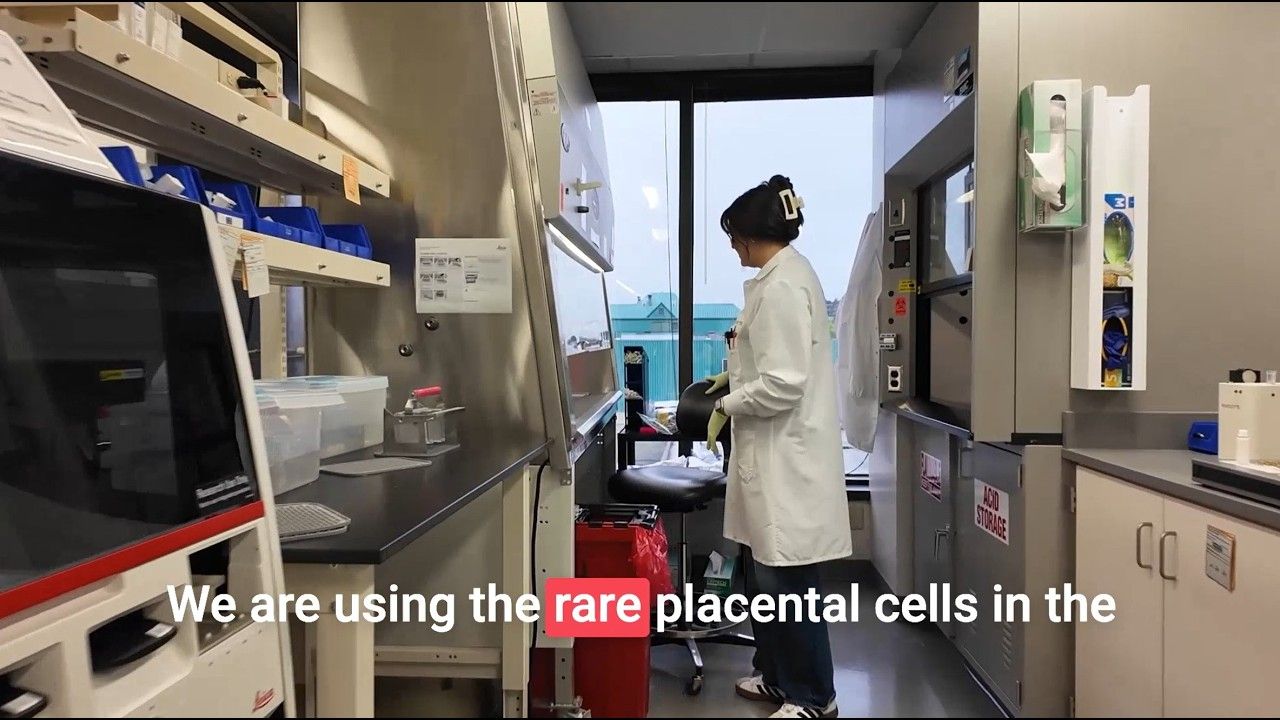 Exploring interplay between tumor intrinsic features and immune cell phenotypes in multi-tumor tissue microarrays by a single step 15-plex fluorescence immunohistochemistry and imaging on the Orion Platform — Video