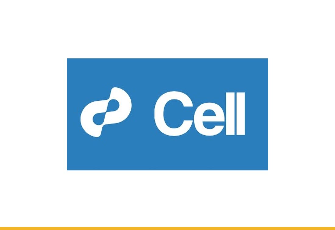 Ovarian cancer-derived IL-4 promotes immunotherapy resistance — Publication