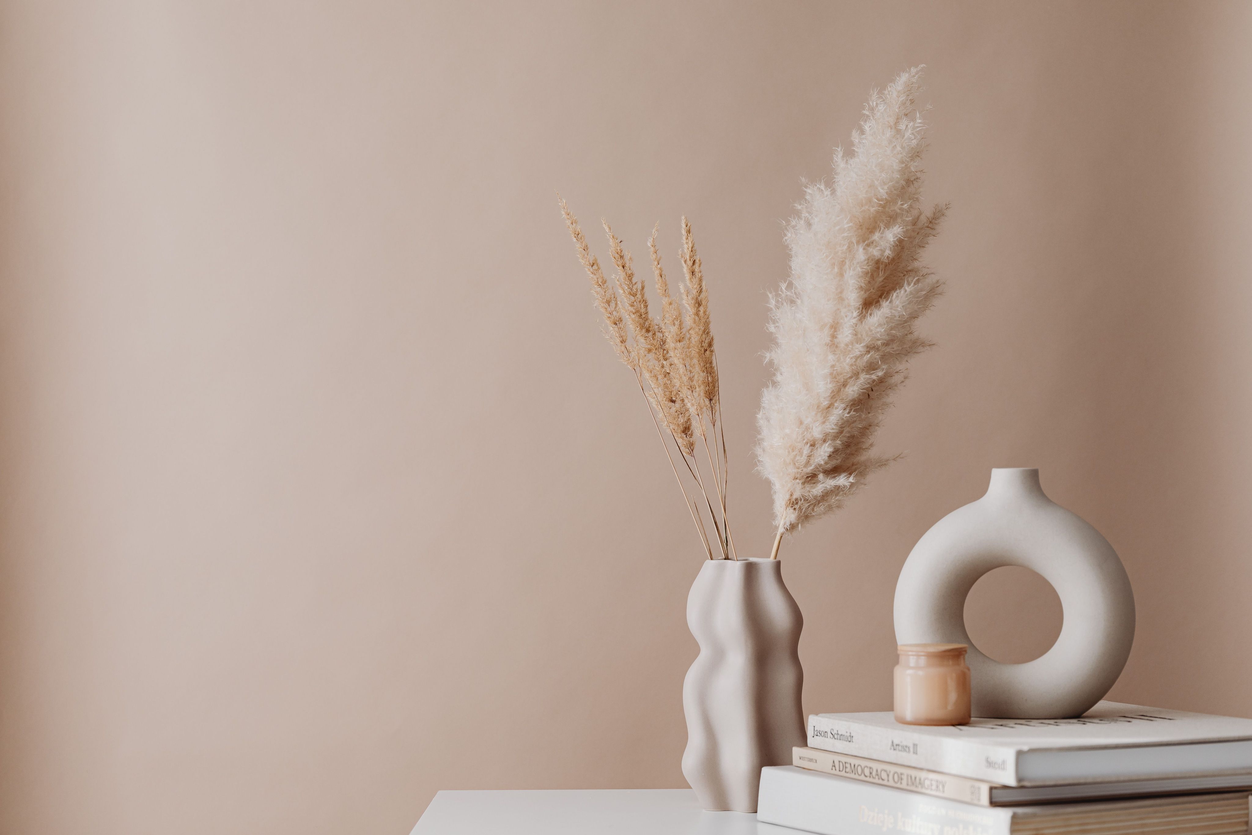 Dried botanicals in soft light
