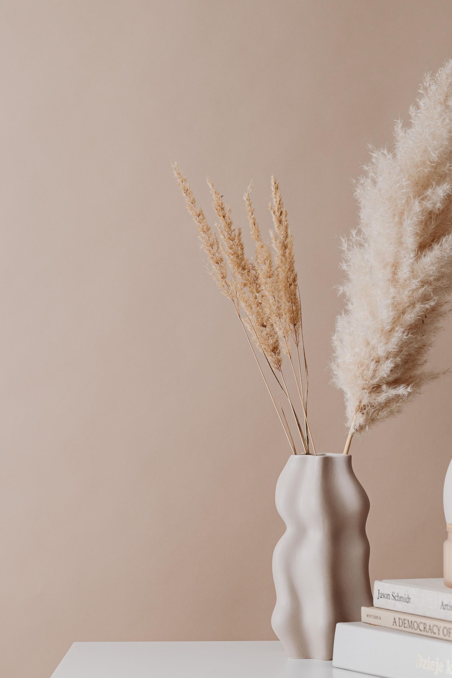 Dried botanicals in soft light