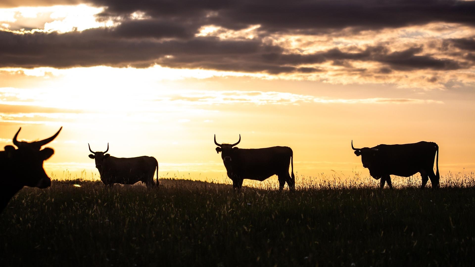 BTC, BNB, ETH, SOL News: Altcoin Season May Be Brewing, But Will Be ...