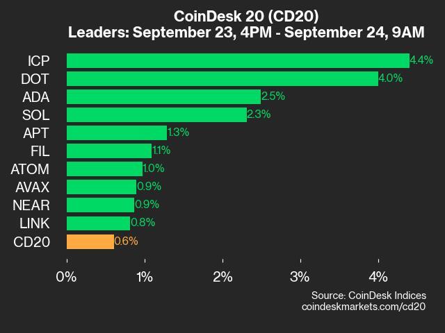 CoinDesk 20 Performance Update: ICP Gains 4.4%, Leading Index Higher