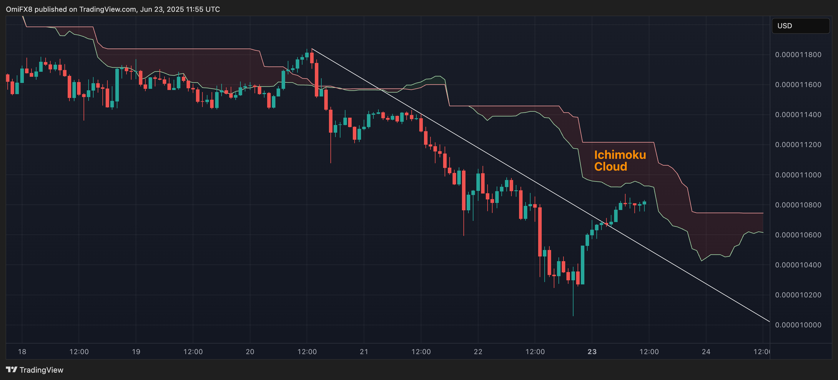 SHIB's hourly price chart. (TradingView/CoinDesk)