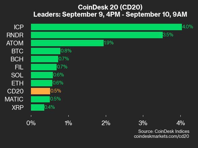 CoinDesk 20 Performance Update: ICP and RNDR Lead as Index Inches up 0.5%