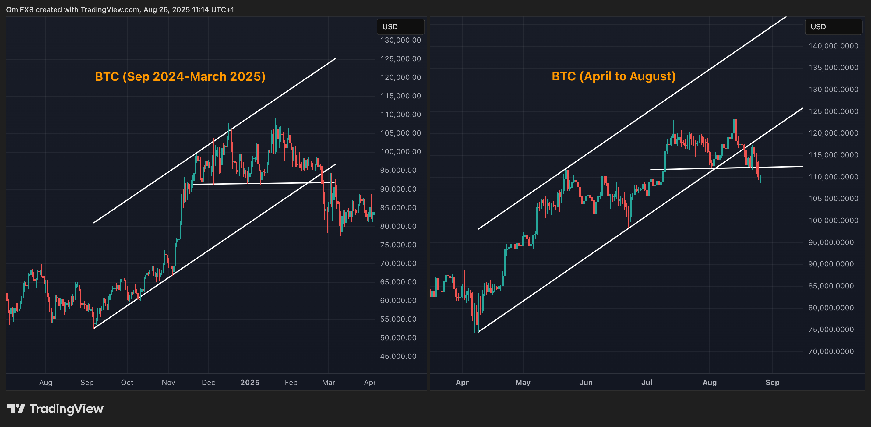 BTC's daily charts. (TradingView/CoinDesk)