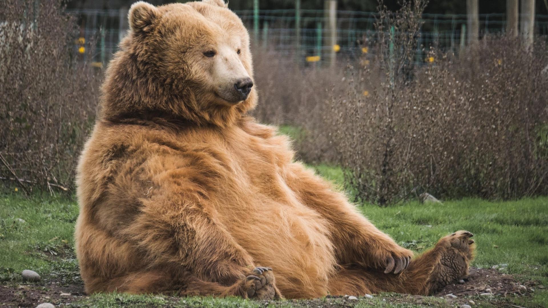 Bitcoin Options Tilt Bearish Ahead of Friday’s Expiry: Crypto Daybook Americas Bitcoin Options Tilt Bearish Ahead of Friday’s Expiry: Crypto Daybook Americas