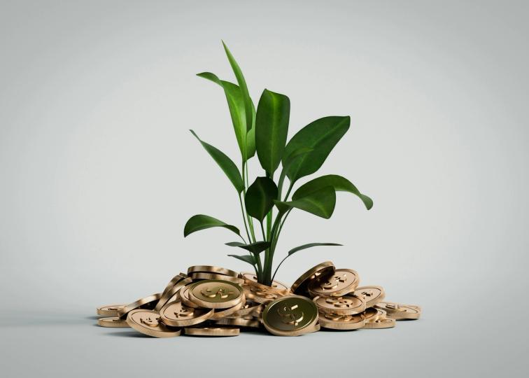 Crypto for Advisors: banks and digital money