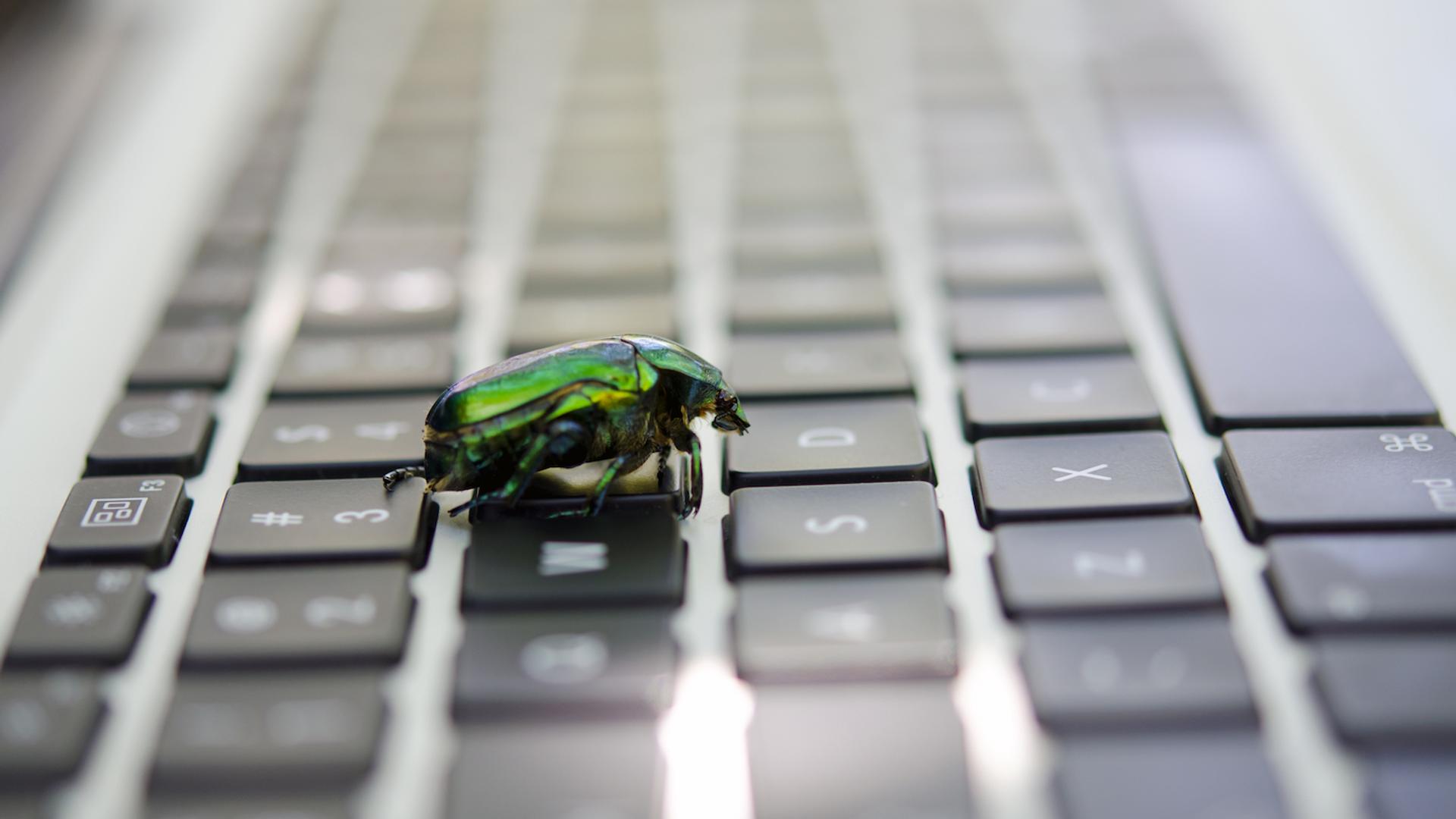 A bug walking across a keyboard. Developers are increasingly discovering software bugs using AI. (Unsplash)