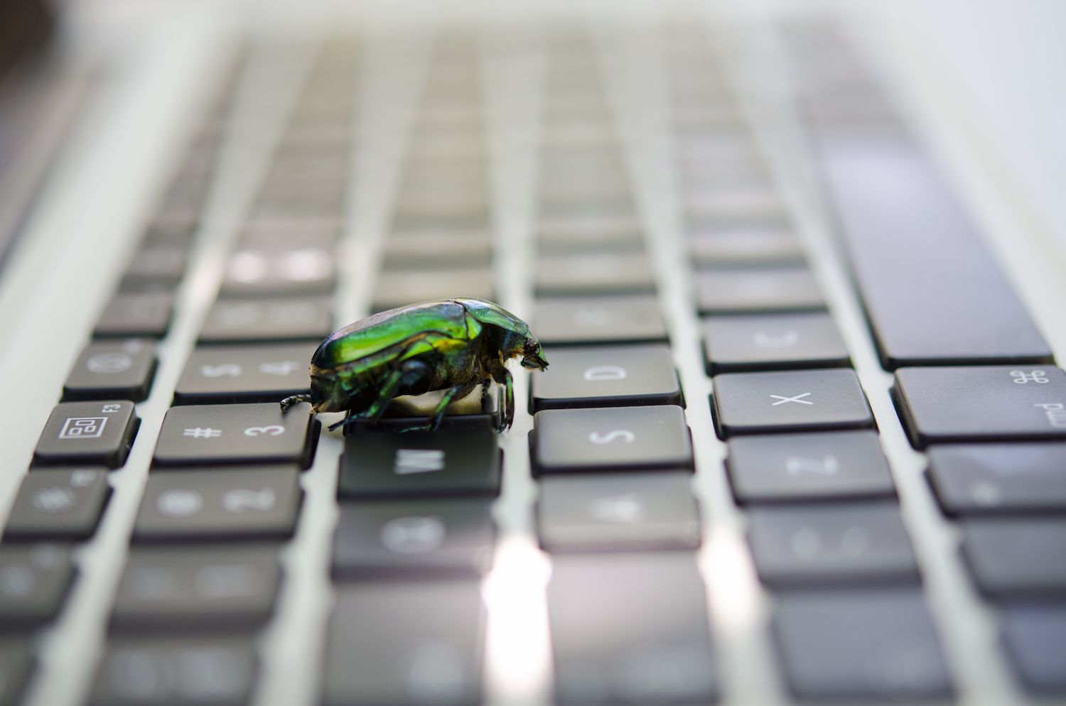How Blockchain Bugs Can Threaten Token Supply and What to Watch for