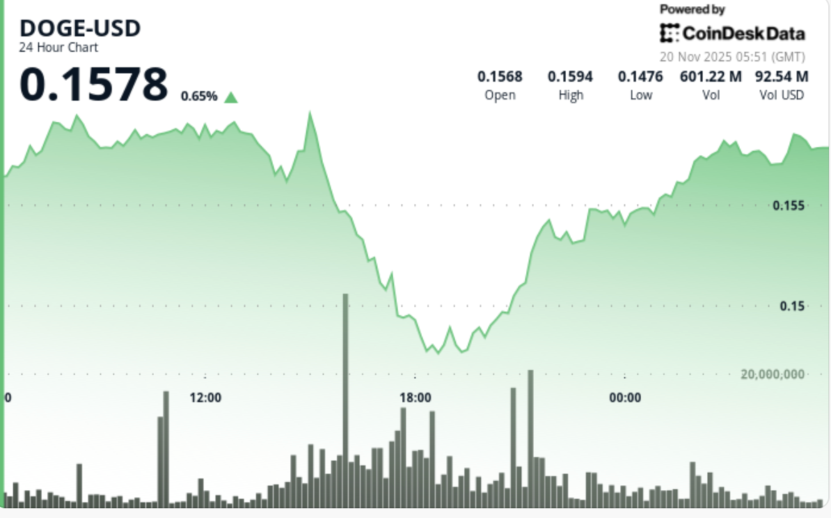 Análisis del Precio de Dogecoin: DOGE Alcanza Mínimos de Varios Meses  mientras los Flujos se Vuelven Alcistas por Primera Vez en 6 Meses