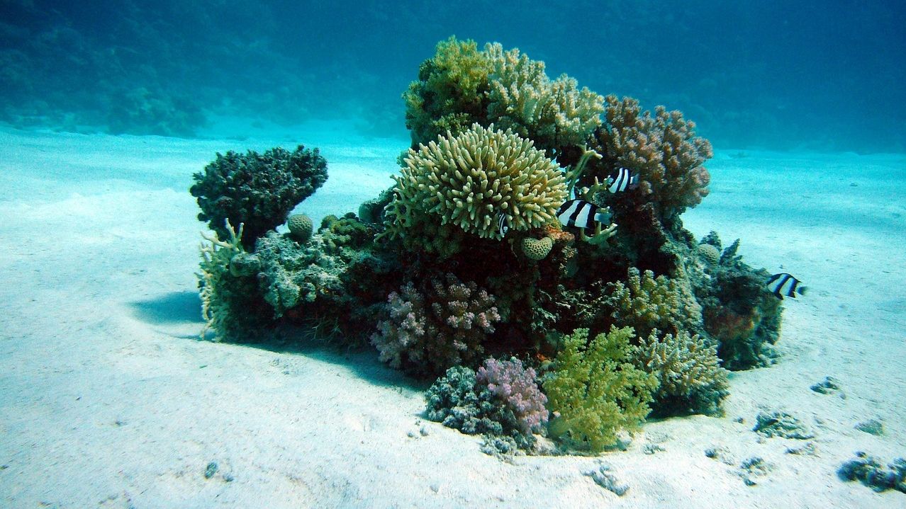 Bitcoin ETF détenteurs, assis sur des pertes de papier, peut jeter dans la serviette - CoinDesk | Related Crypto Article