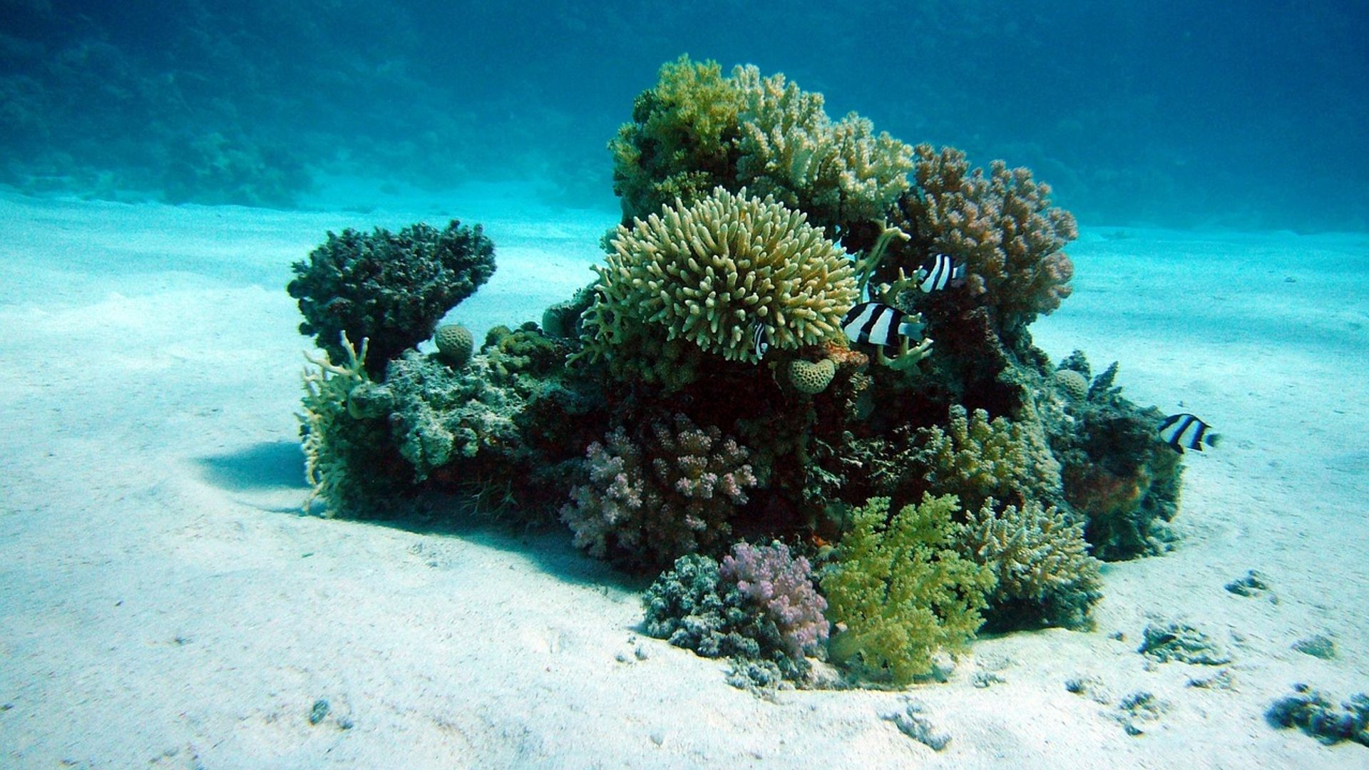 Bitcoin ETF holders, sitting on paper losses, may throw in the towel