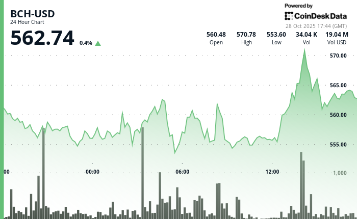 Bitcoin's Offshoot, BCH, Edges Up 1% to Challenge Downtrend