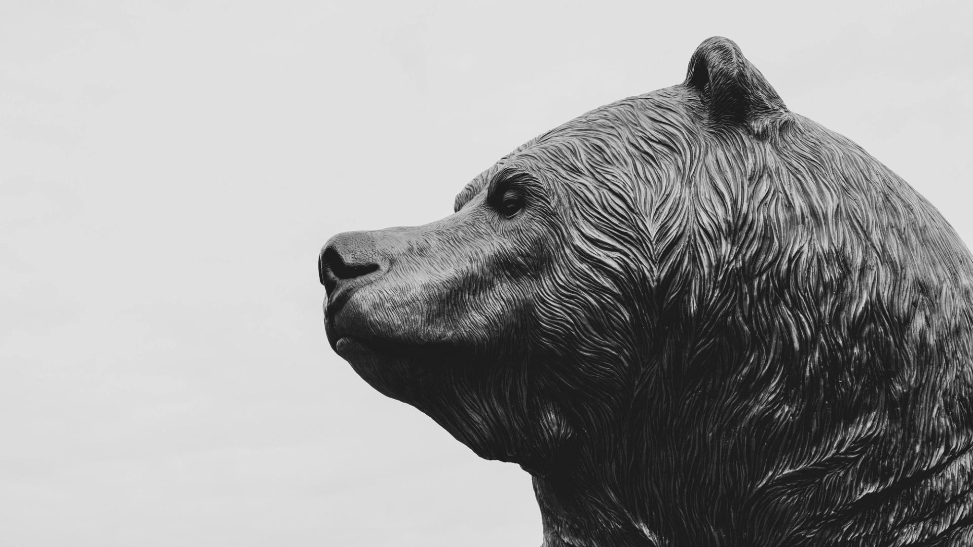 Altcoins lead losses as bitcoin slips and derivatives signal bearish ...