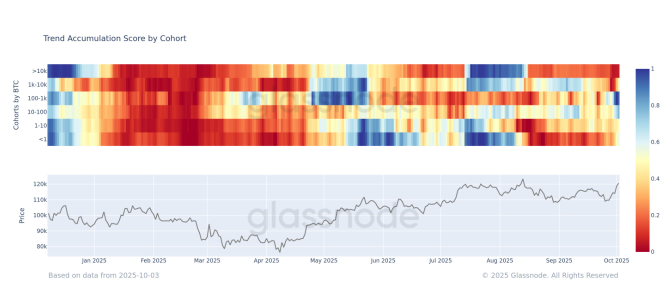 Accumulation Trends Strengthen as Bitcoin Breaks Through $120K