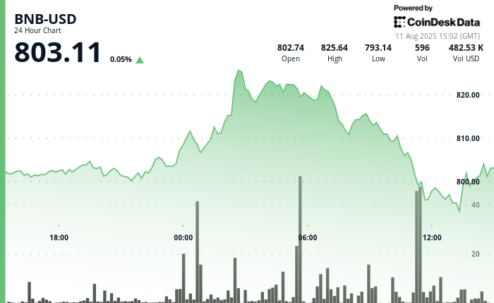 BNB Swings 4% in 24 Hours, Testing $800 Resistance