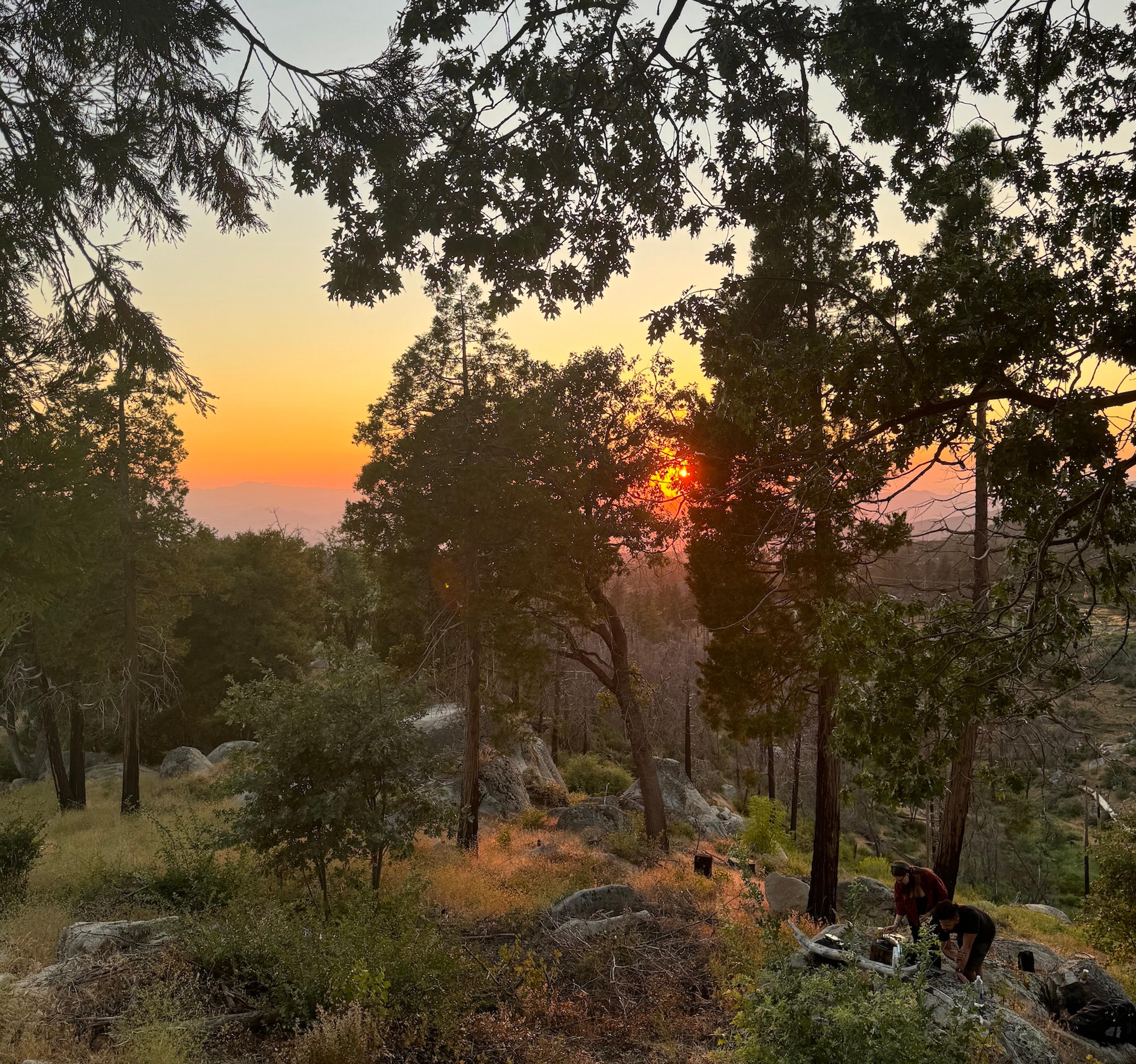 A scene from FWB FEST 2024 near Idyllwild, California.