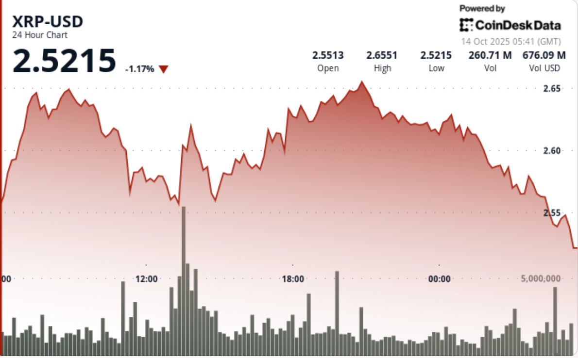 XRP 가격 뉴스: 6,300만 달러 규모 고래 매도에 바이낸스서 2.60달러 아래로 하락