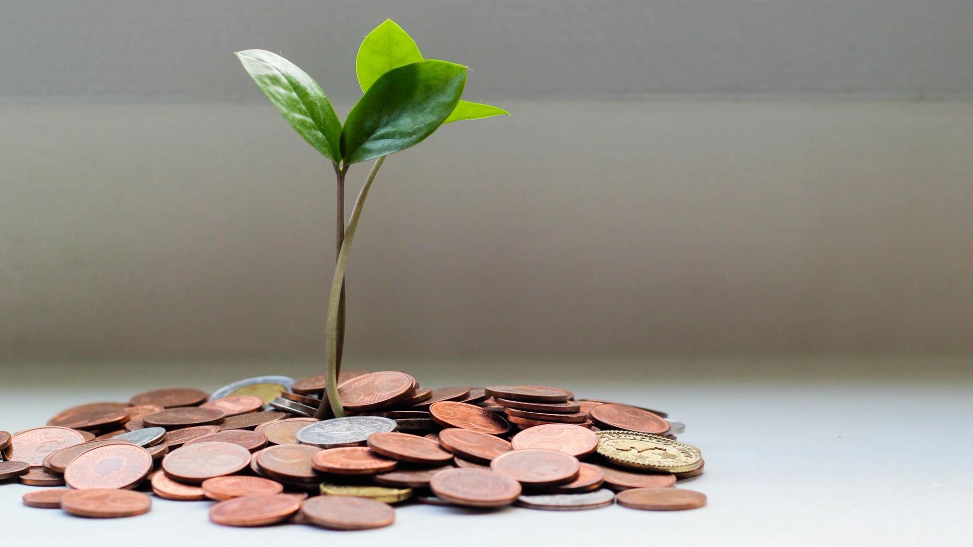 Optimism community begins vote on OP token buybacks - CoinDesk | Related Crypto Article