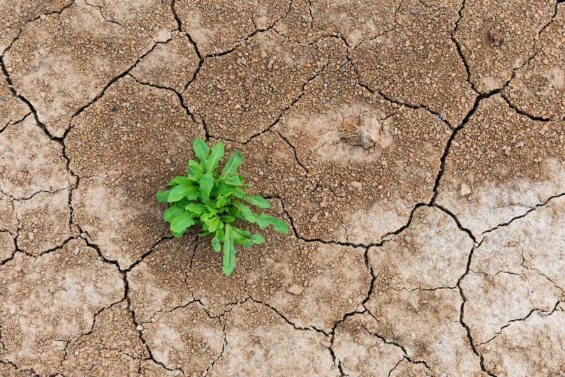 O 'shakeout' da DeFi é um teste de estresse, não uma sentença de morte