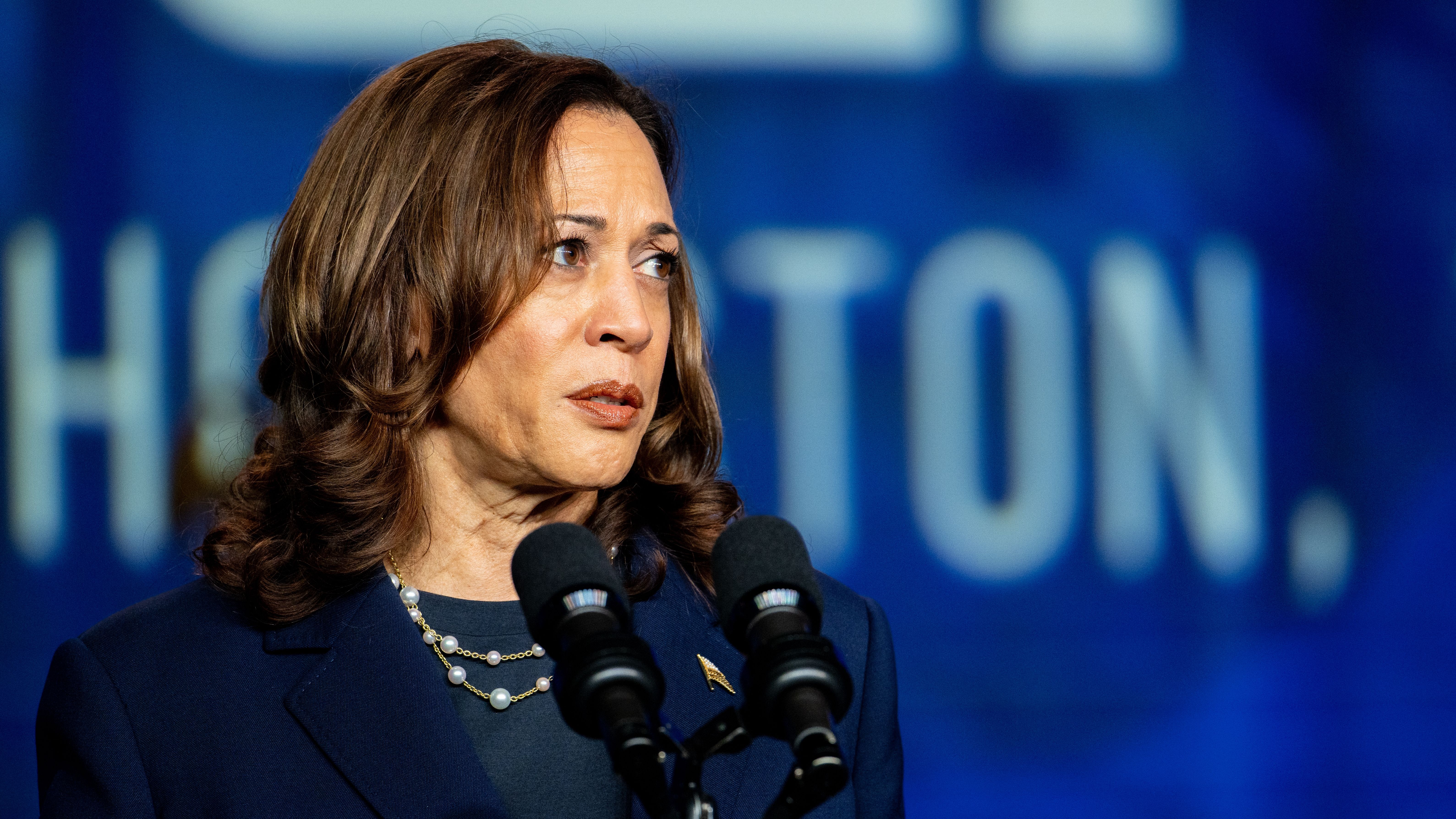 Crypto ETFs Look Unlikely to Expand Beyond Bitcoin, Ether Under Kamala Harris, Experts Say