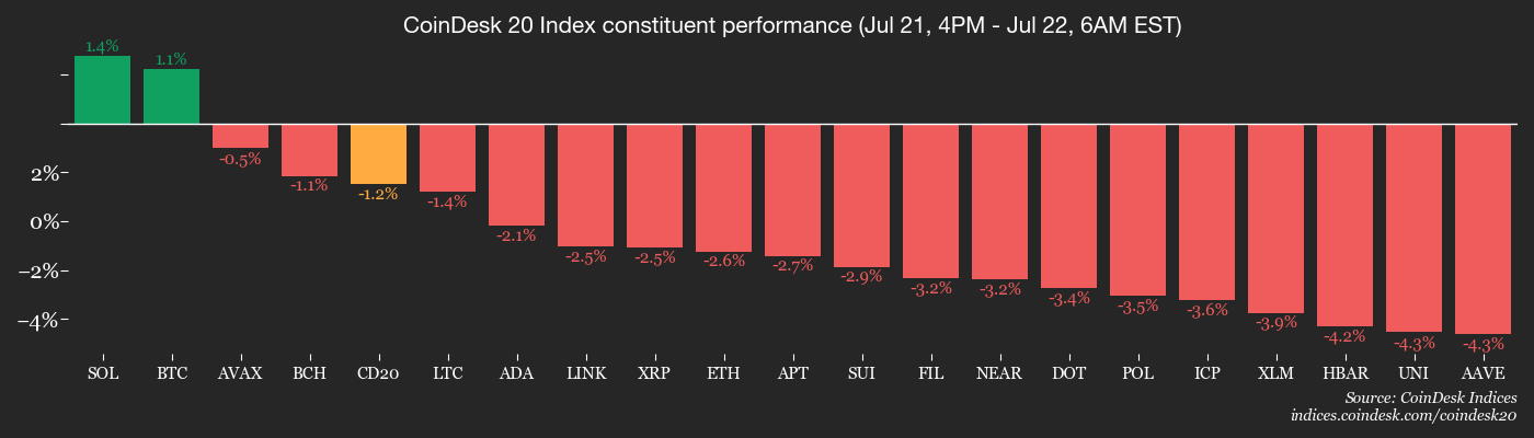 CoinDesk 20 members’ performance