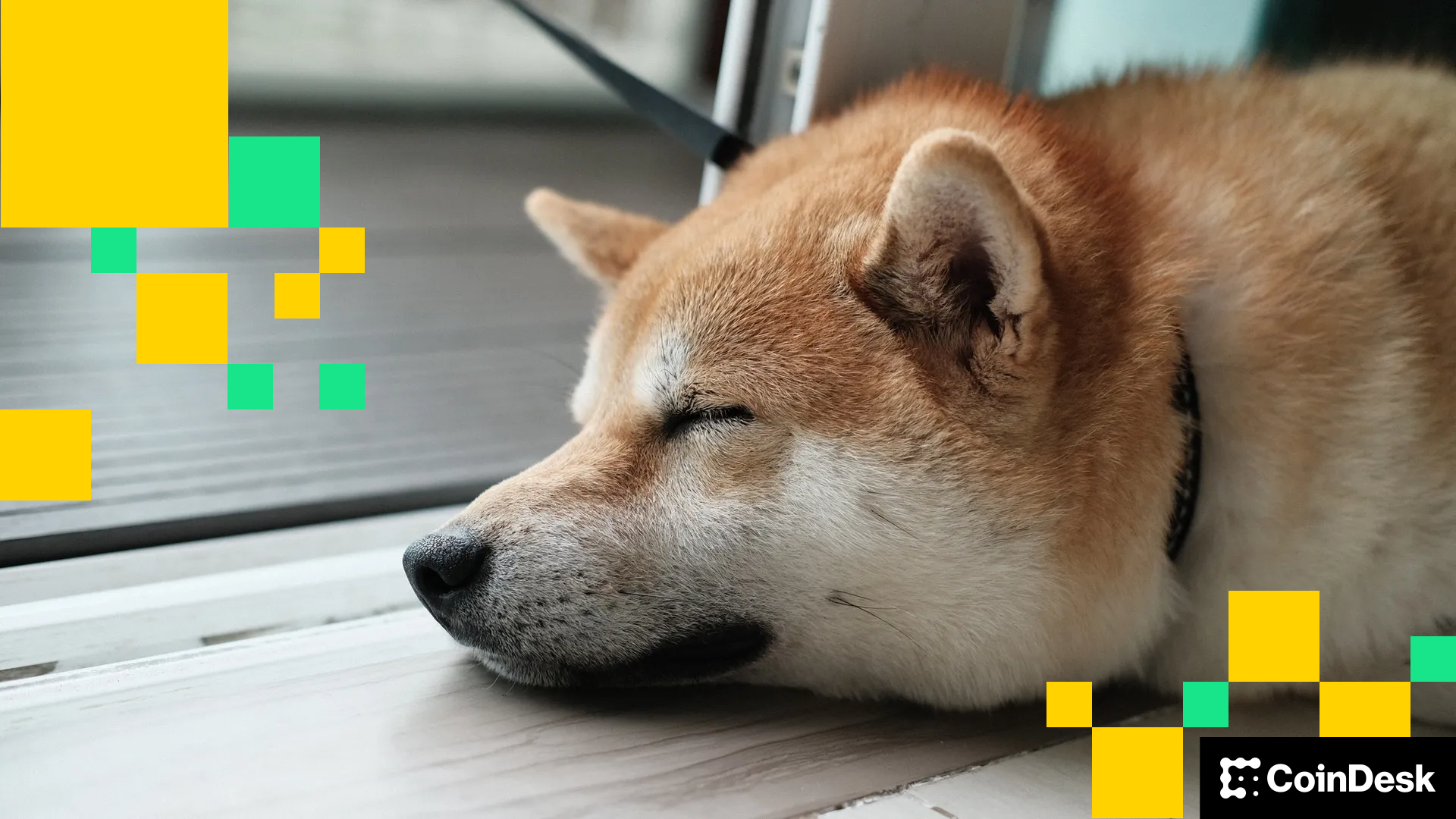 DOGE、SHIB价格新闻：作为交易者守住阻力区间，迷因币价格走低