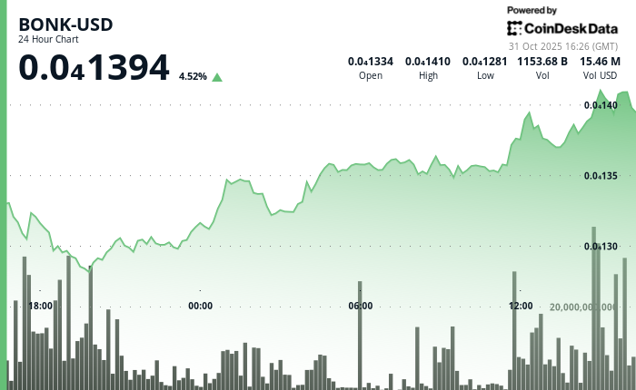 BONK Regains Some Ground With 4.6% Gain