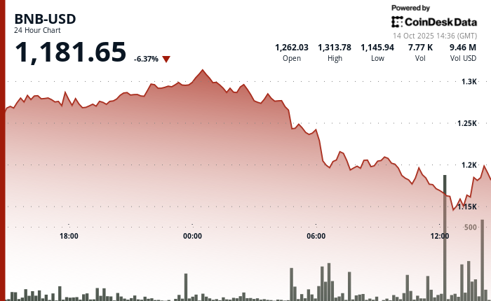 BNB's dramatic fall, a photo of a confused cryptocurrency icon