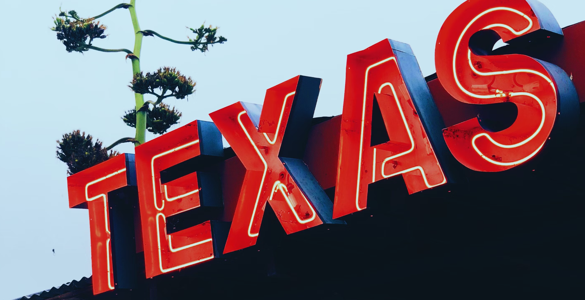 Texas Blockchain Council, Riot Platforms Sue Dept. of Energy, OMB Over 'Emergency' Survey