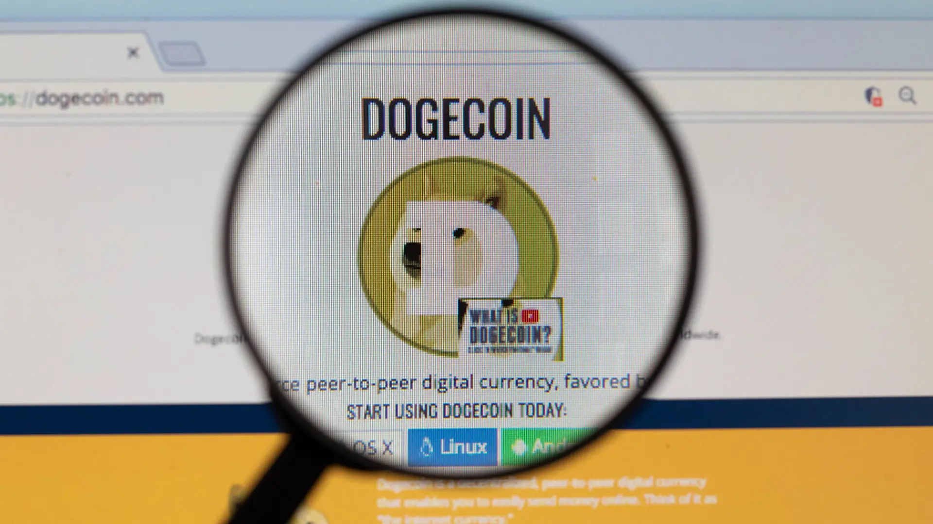 Could a Dogecoin ETF Be Launched in the U.S. This Week?
