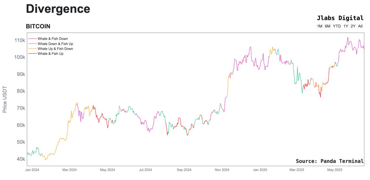 Bitcoin accumulation patterns. (Panda Terminal)