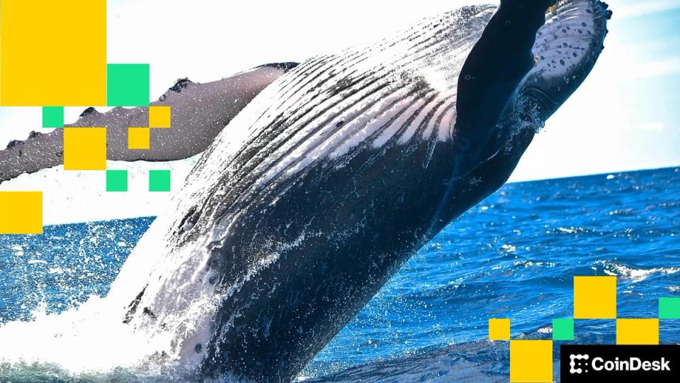 Bitcoin whale wakes up after 12 years to move $84 million fortune