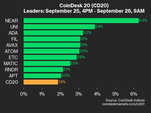 CoinDesk 20 Performance Update: NEAR Leaps 6.3% as All Assets Rise