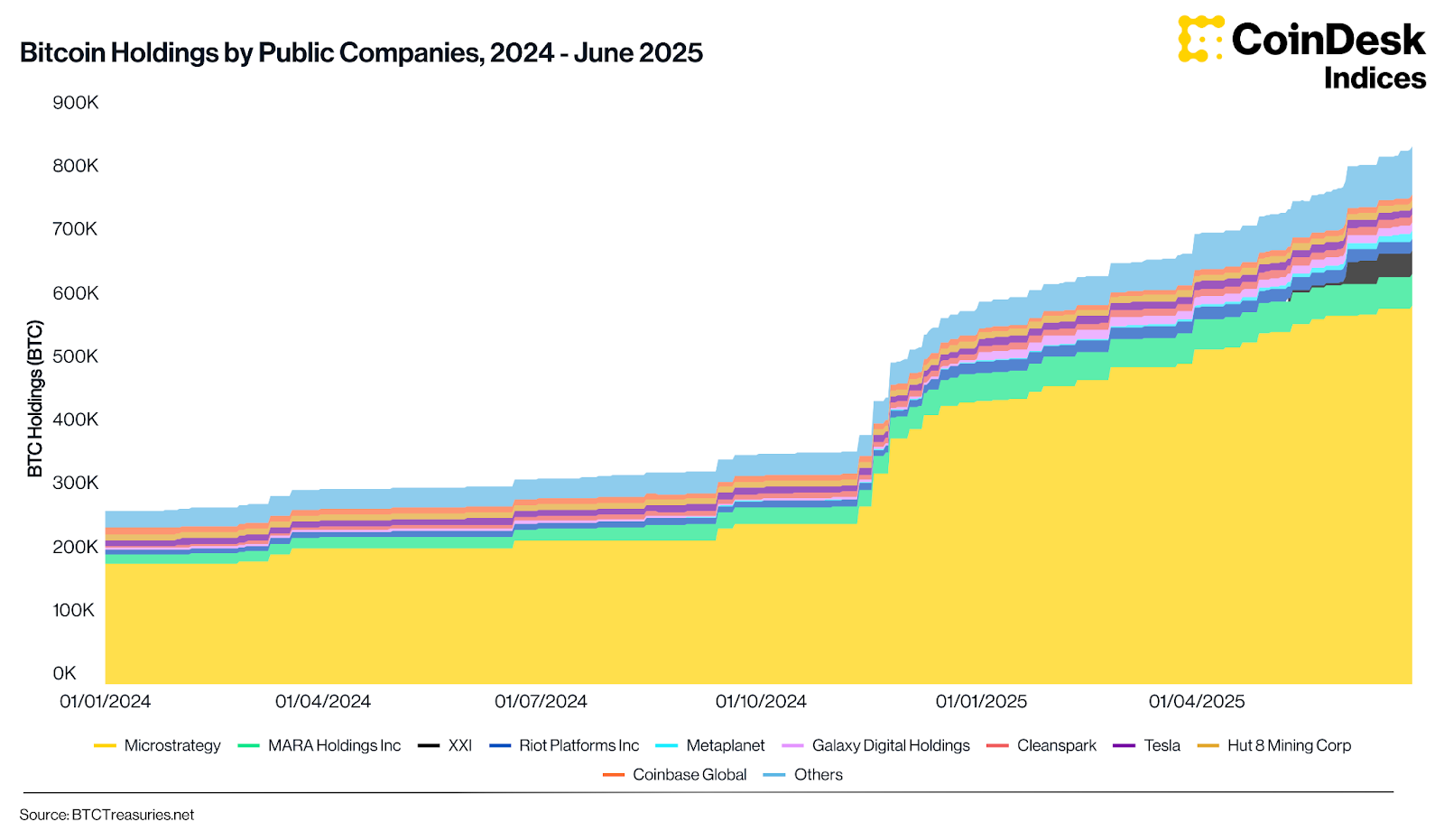 Bitcoin Holdings by Public Companies, 2024-June 2025 Bitcoin Holdings by Public Companies, 2024-June 2025