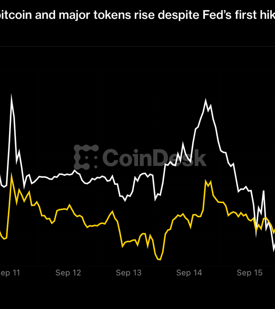 Zcash Surges 23% as Crypto Markets Shrug Off First Fed Rate Hike Since 2023