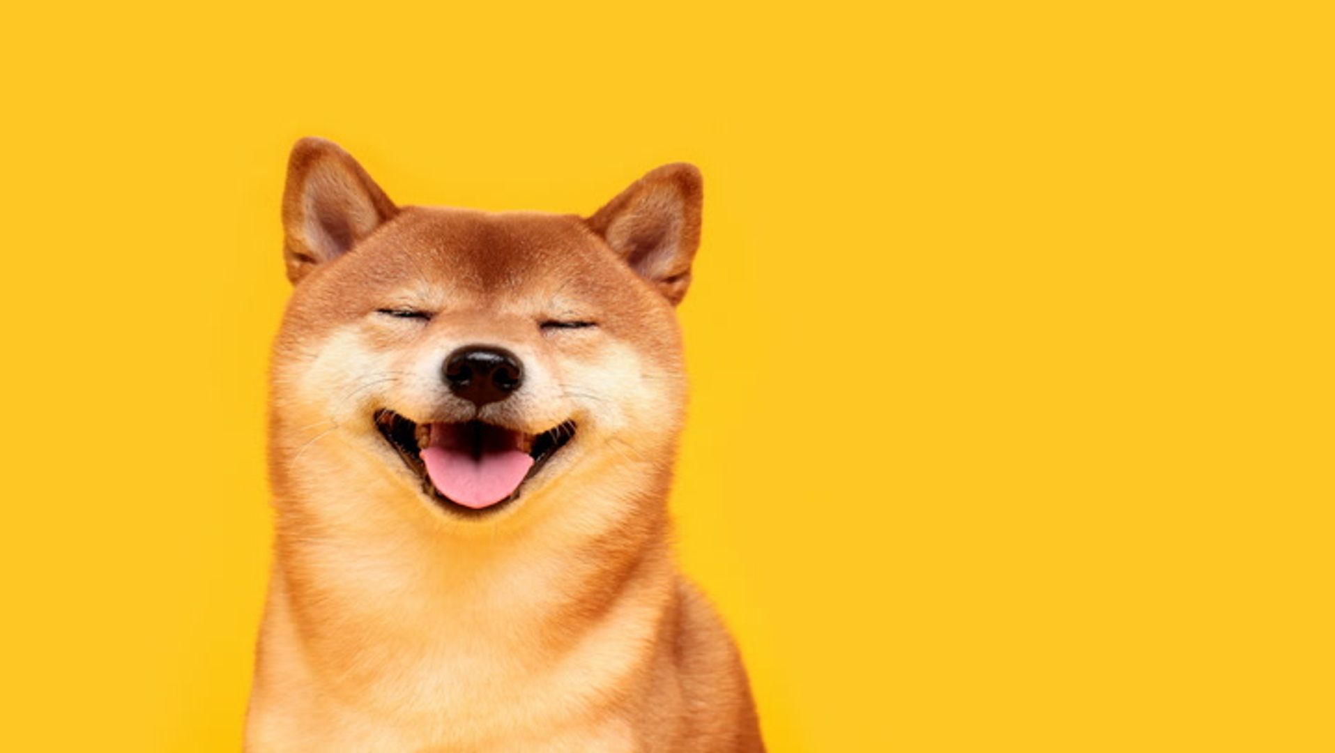 Dogecoin zooms 10%, breaking away from bitcoin as open interest hits a yearly peak