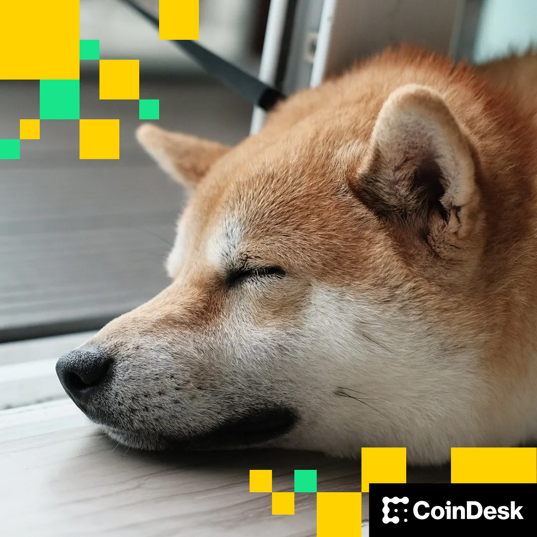 Shib (SHIB) News Today | CoinDesk