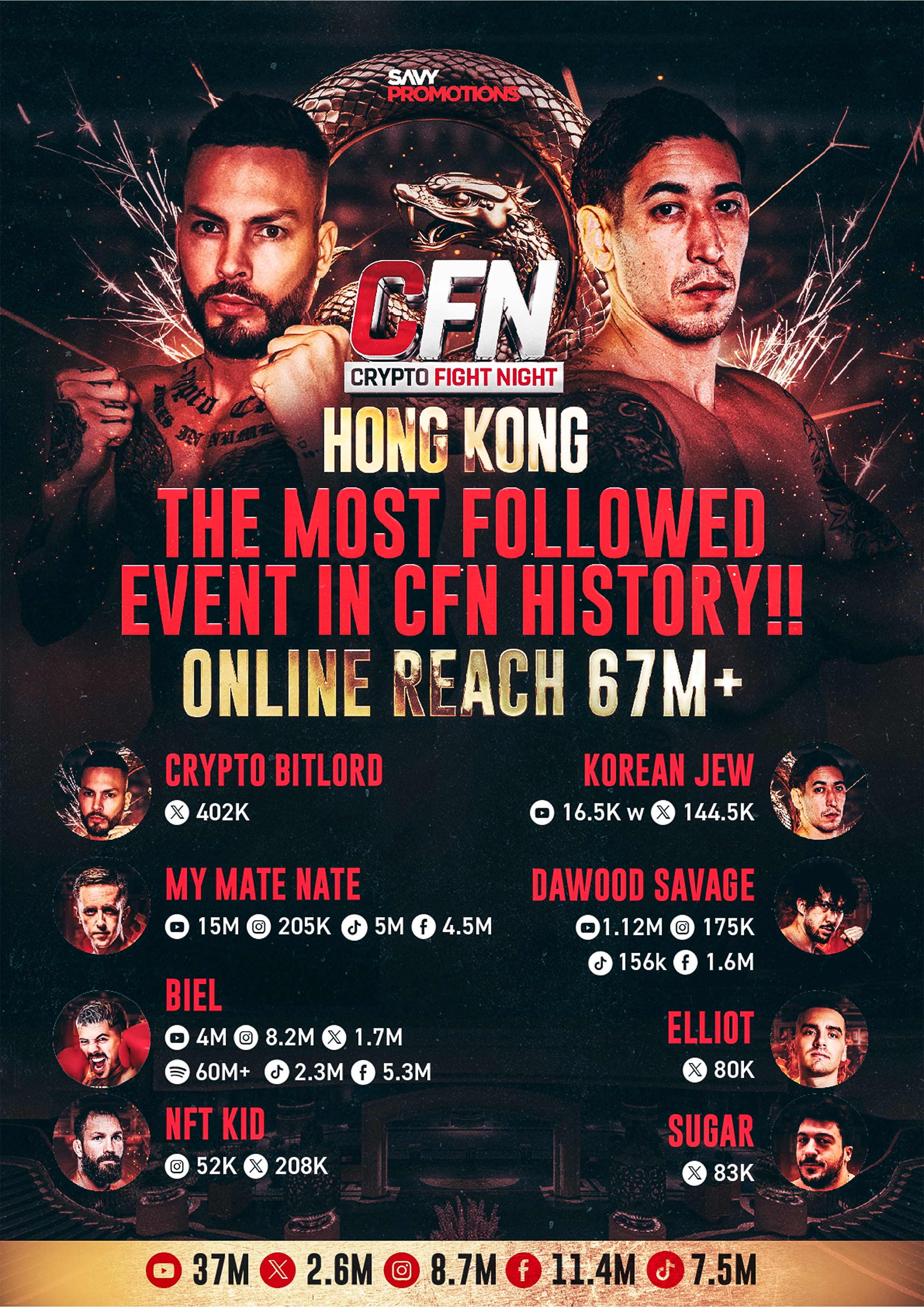 Crypto Fight Poster