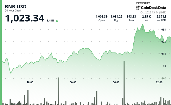 BNB Edges Higher As Community Rallies After X Account Hack