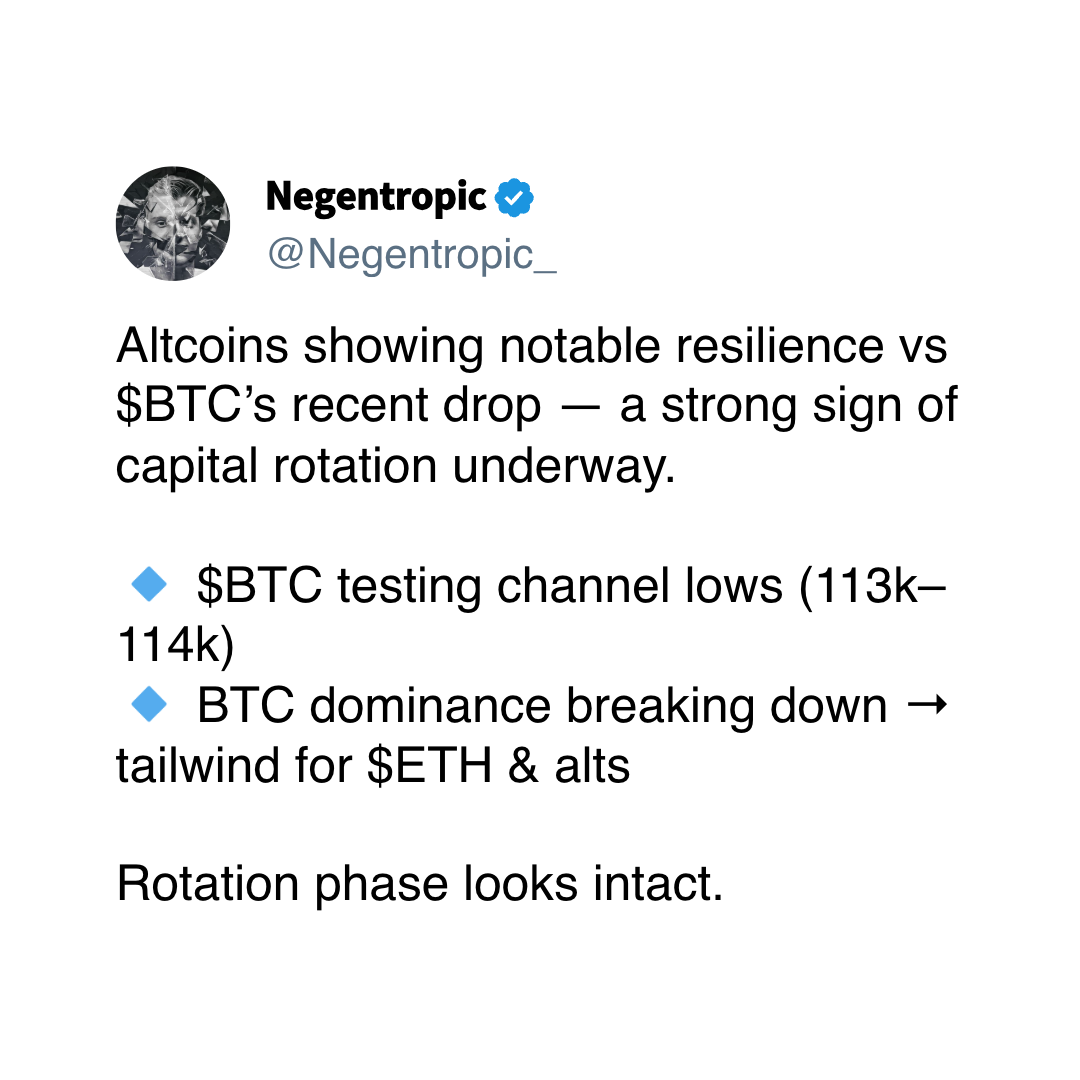 (Negentropic/X) (Negentropic/X)