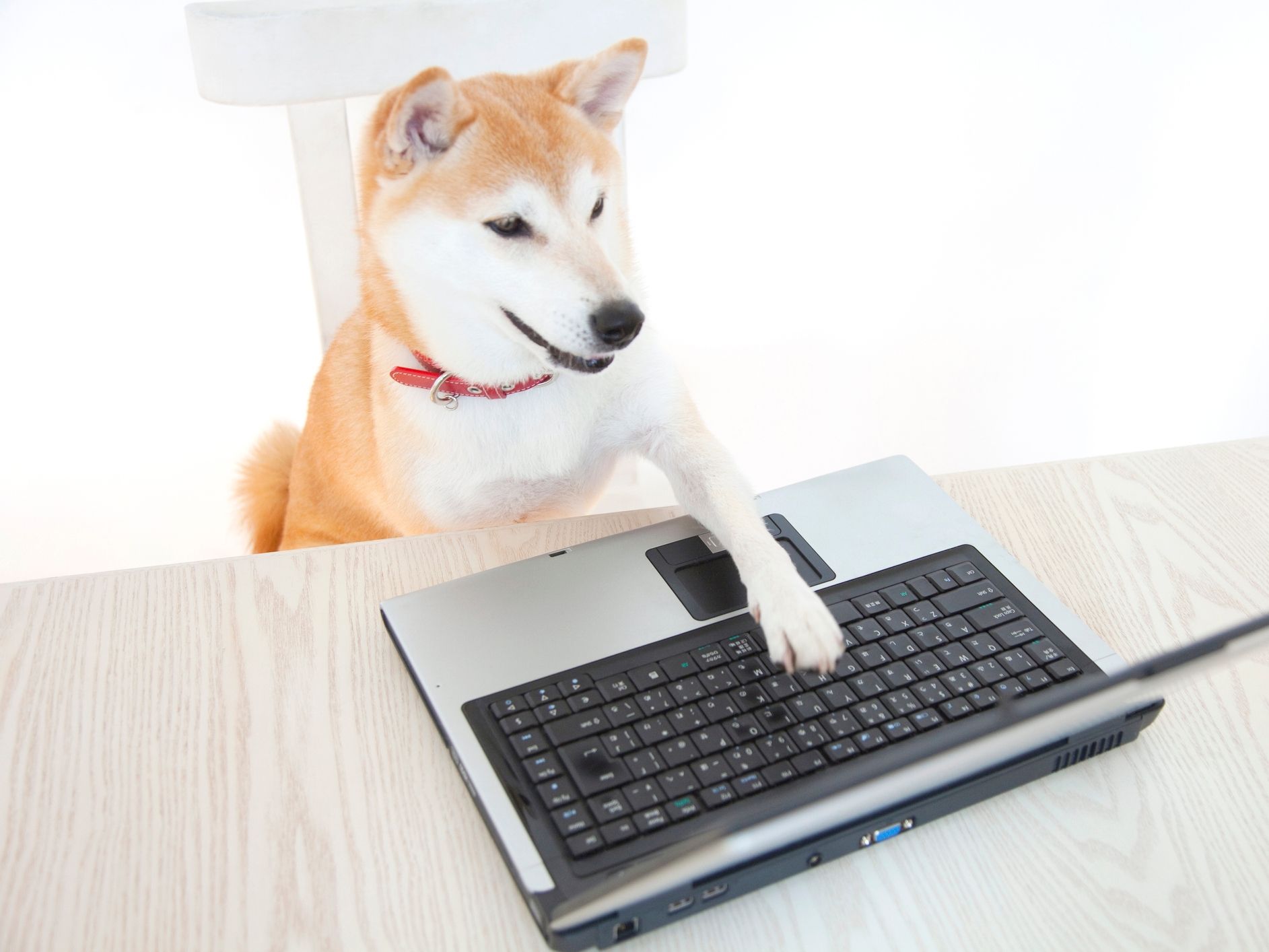 Crypto Markets Today: BTC price rise meets resistance as memecoin trading volume explodes